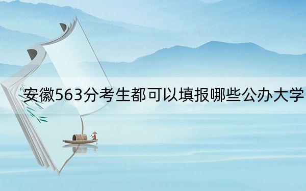 安徽563分考生都可以填报哪些公办大学? 2025年高考可以填报49所大学