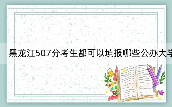 黑龙江507分考生都可以填报哪些公办大学? 2024年一共录取52所大学