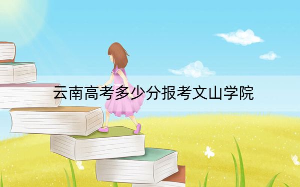 云南高考多少分报考文山学院？附2022-2024年最低录取分数线