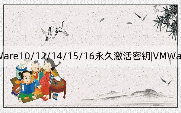 VMWare10/12/14/15/16永久激活密钥|VMWare Pro全版本许可证密钥