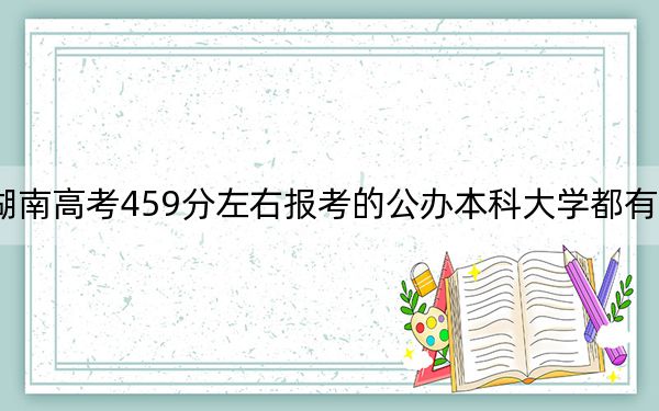 湖南高考459分左右报考的公办本科大学都有哪些?(供2025届高三考生参考)