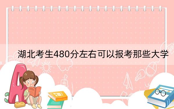 湖北考生480分左右可以报考那些大学？ 2025年高考可以填报61所大学