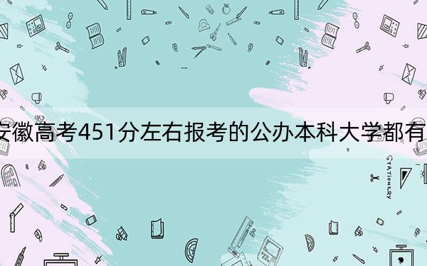安徽高考451分左右报考的公办本科大学都有哪些? 2025年高考可以填报0所大学