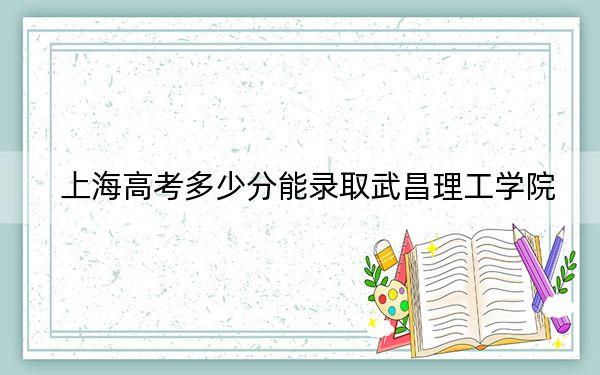 上海高考多少分能录取武昌理工学院?2024年综合最低分405分