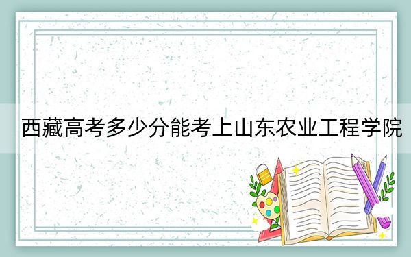 西藏高考多少分能考上山东农业工程学院?2024年投档线分