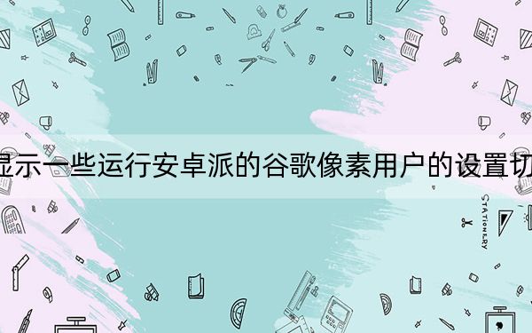 显示一些运行安卓派的谷歌像素用户的设置切片