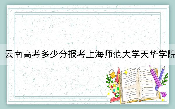 云南高考多少分报考上海师范大学天华学院?2024年文科498分 理科420分