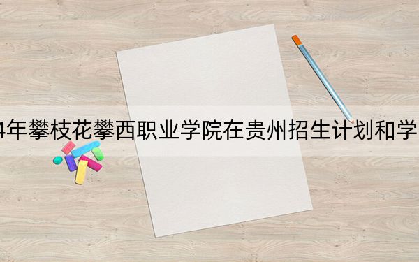 2024年攀枝花攀西职业学院在贵州招生计划和学费是多少?录取分数线是多少?
