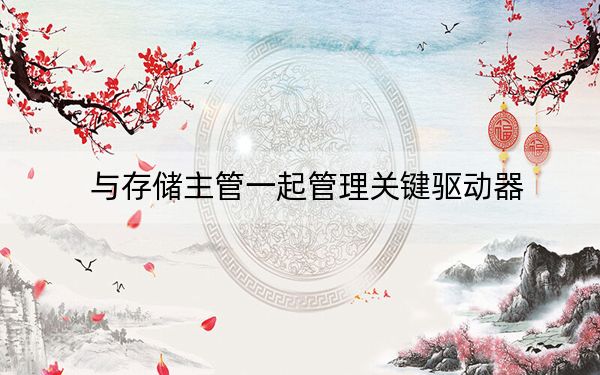 与存储主管一起管理关键驱动器
