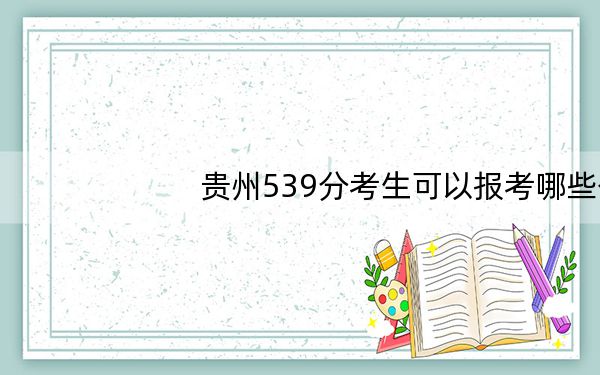 贵州539分考生可以报考哪些公办本科大学?(附带近三年高考大学录取名单)