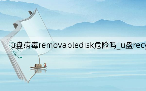u盘病毒removabledisk危险吗_u盘recycler病毒