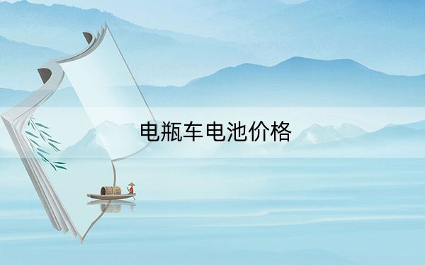 电瓶车电池价格