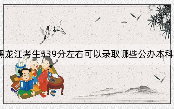 黑龙江考生539分左右可以录取哪些公办本科大学?(附带近三年高考大学录取名单)