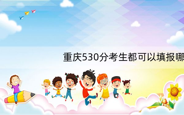 重庆530分考生都可以填报哪些公办大学?(附带2022-2024年530录取名单)