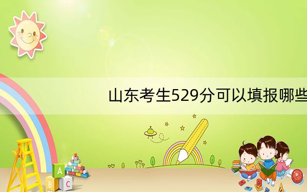 山东考生529分可以填报哪些高校名单？（附带近三年529分大学录取名单）