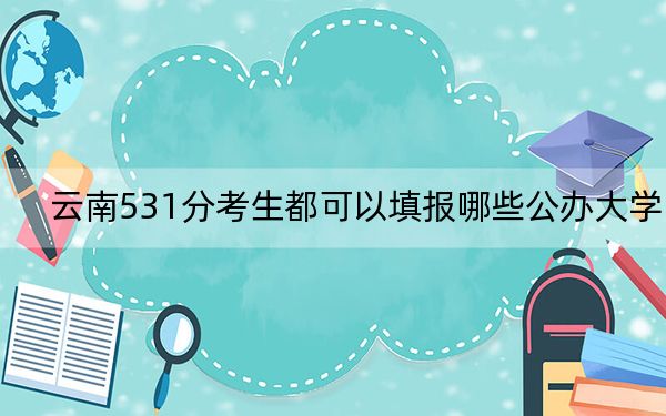 云南531分考生都可以填报哪些公办大学? 2024年高考有42所531录取的大学