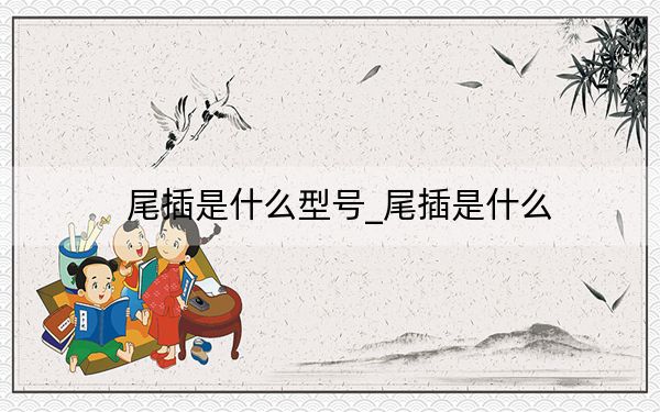 尾插是什么型号_尾插是什么