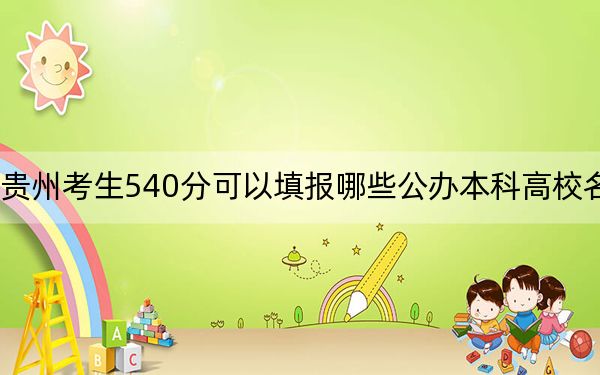 贵州考生540分可以填报哪些公办本科高校名单?(附带2022-2024年540左右大学名单)