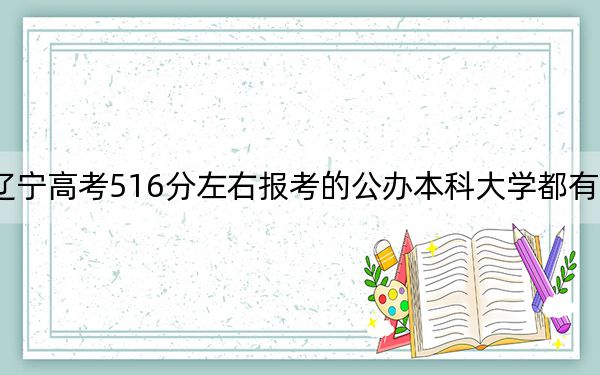 辽宁高考516分左右报考的公办本科大学都有哪些?(供2025年考生参考)