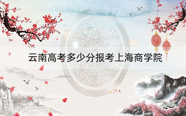 云南高考多少分报考上海商学院?附2022-2024年最低录取分数线