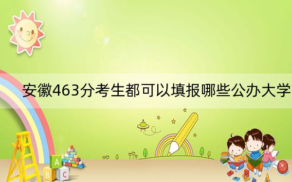 安徽463分考生都可以填报哪些公办大学?(供2025届考生填报志愿参考)