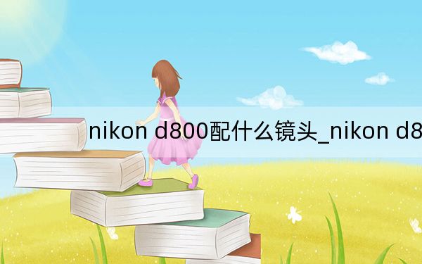 nikon d800配什么镜头_nikon d80