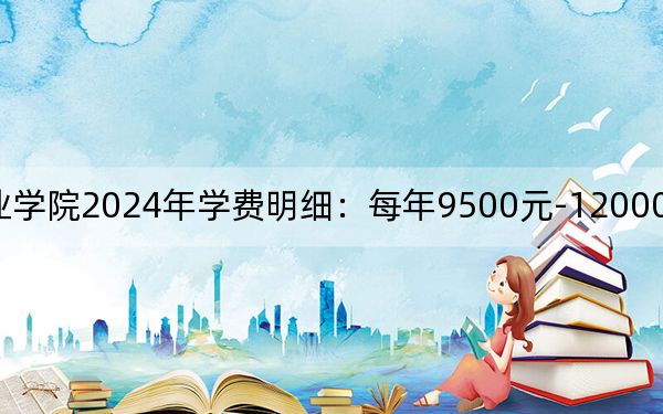 重庆传媒职业学院2024年学费明细:每年9500元-12000元(供新疆考生参考)