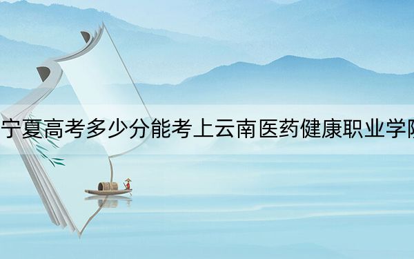 宁夏高考多少分能考上云南医药健康职业学院?2024年文科录取分353分 理科最低324分