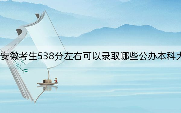 安徽考生538分左右可以录取哪些公办本科大学？（附带近三年高考大学录取名单）