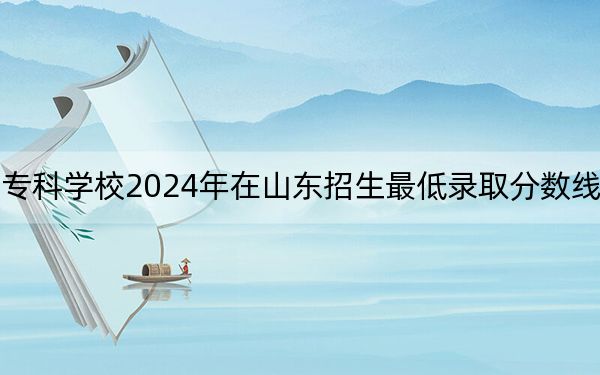 山东电力高等专科学校2024年在山东招生最低录取分数线和招生计划公布！