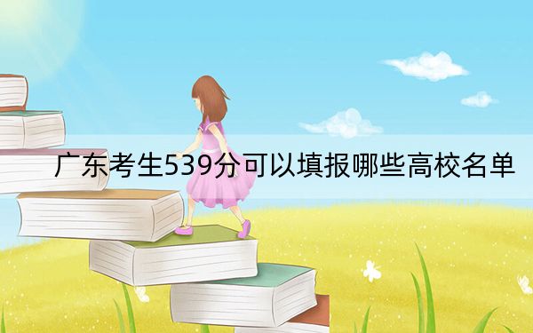 广东考生539分可以填报哪些高校名单？（附带近三年高考大学录取名单）