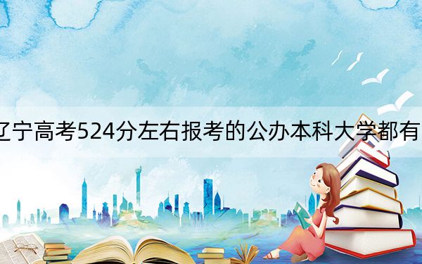 辽宁高考524分左右报考的公办本科大学都有哪些?(附带2022-2024年524左右大学名单)