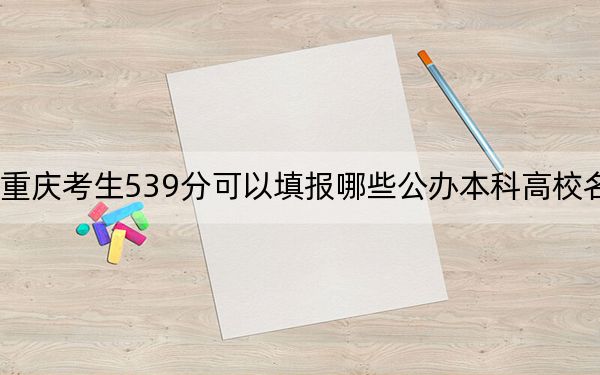 重庆考生539分可以填报哪些公办本科高校名单? 2024年一共21所大学录取