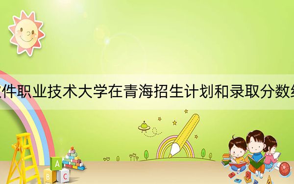 江西软件职业技术大学在青海招生计划和录取分数线是多少?2025青海考生参考