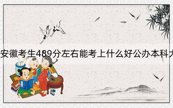 安徽考生489分左右能考上什么好公办本科大学？