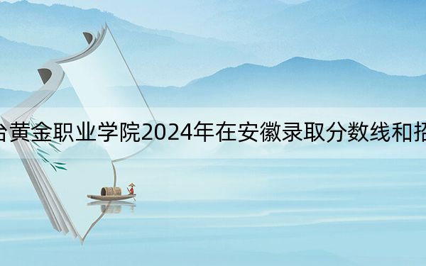 烟台黄金职业学院2024年在安徽录取分数线和招生计划