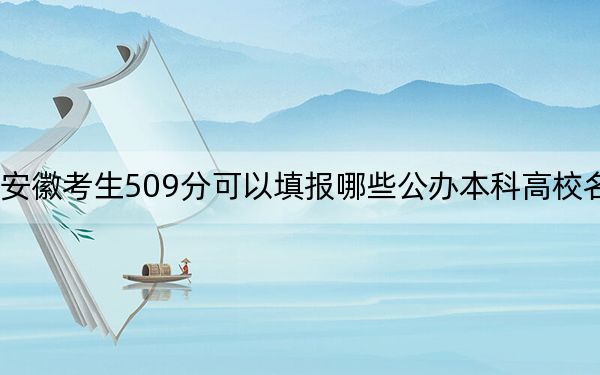 安徽考生509分可以填报哪些公办本科高校名单? 2025年高考可以填报70所大学
