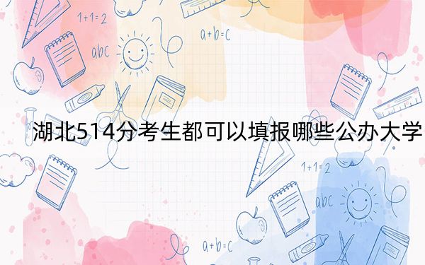 湖北514分考生都可以填报哪些公办大学？（附带2022-2024年514录取名单）