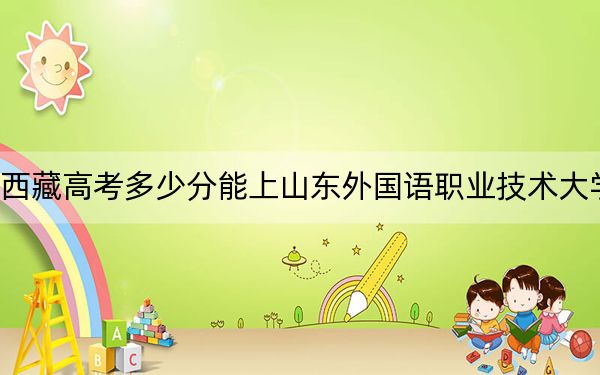 西藏高考多少分能上山东外国语职业技术大学?2024年录取分分